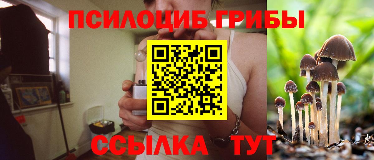 Псилоцибиновые грибы GOLDEN TEACHER Октябрьский