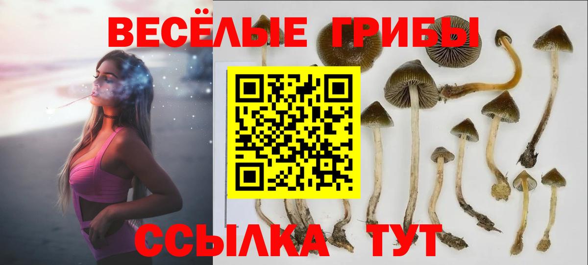 Псилоцибиновые грибы прущие грибы  Вход с VPN  Галлюциногенные грибы MAGIC MUSHROOMS  Октябрьский 